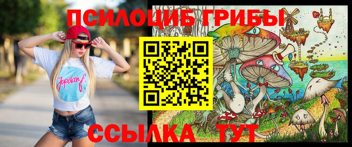 Псилоцибиновые грибы ЛСД Новокубанск