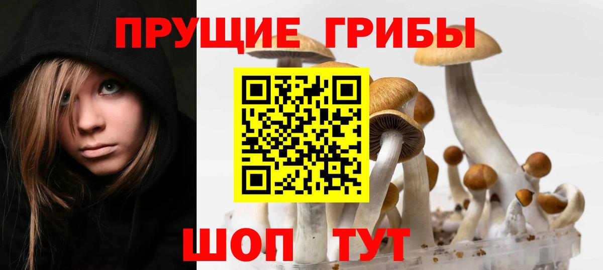 Галлюциногенные грибы Psilocybine cubensis  Вход с VPN  Галлюциногенные грибы Magic Shrooms  Новокубанск 